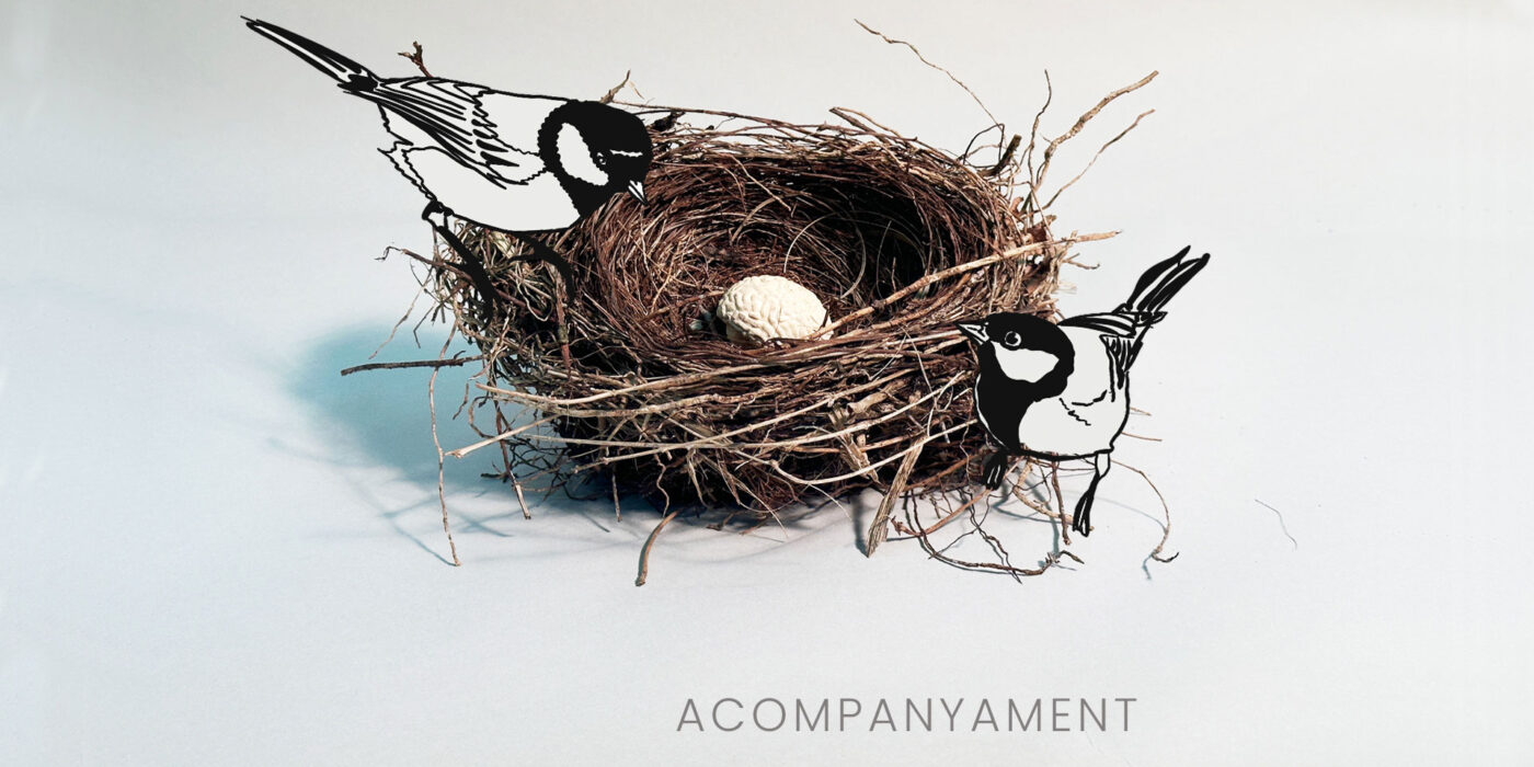 Acompanyament